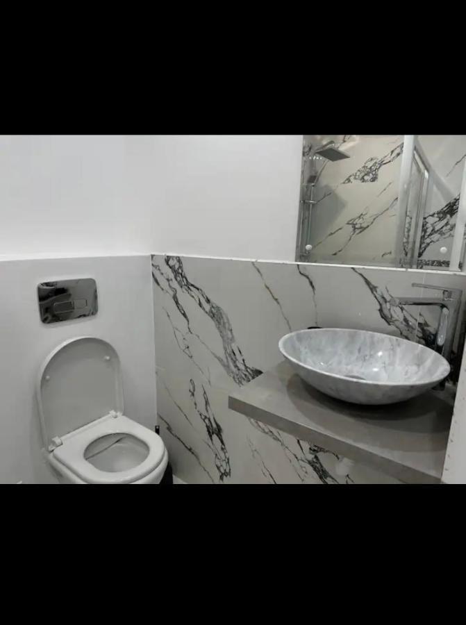 Piata Libertatii Apartament 1 Room Timişoara Eksteriør billede