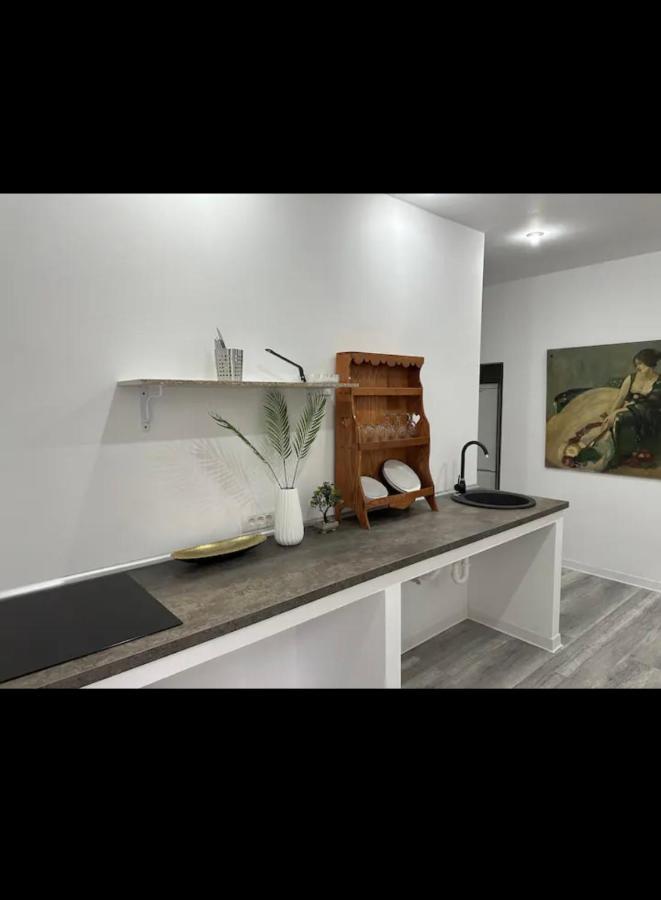 Piata Libertatii Apartament 1 Room Timişoara Eksteriør billede