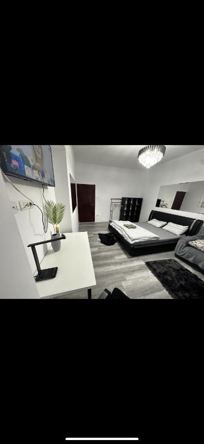 Piata Libertatii Apartament 1 Room Timişoara Eksteriør billede