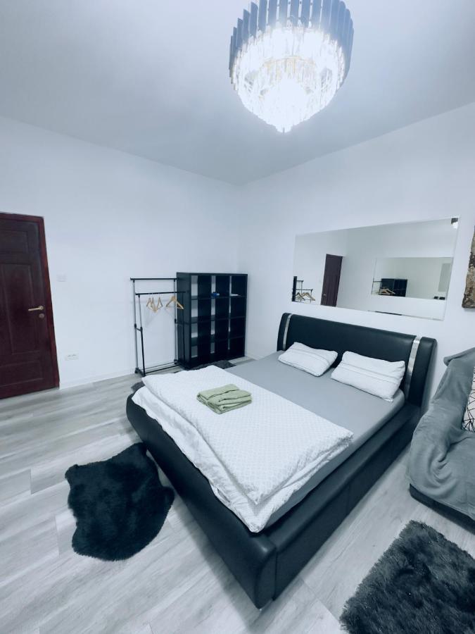 Piata Libertatii Apartament 1 Room Timişoara Eksteriør billede